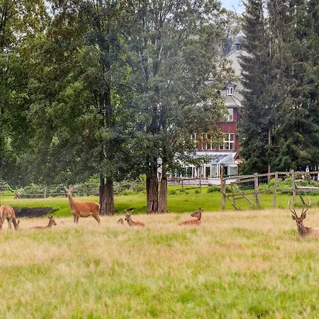 Holiday home Finnische Blockhausstilhaeuser Im Harz